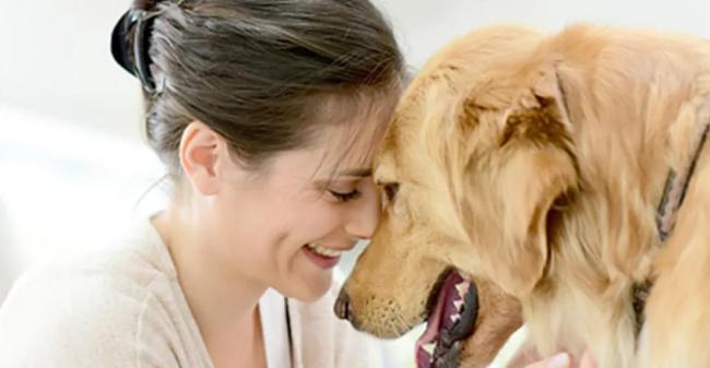 寵物食品消費持續向好，這些公司業績增長亮眼