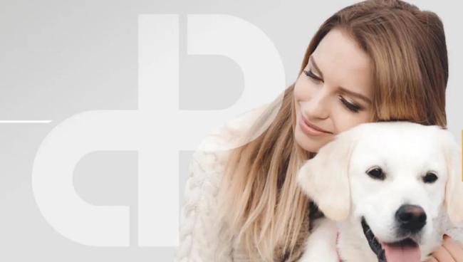 寵物食品消費持續向好，這些公司業績增長亮眼