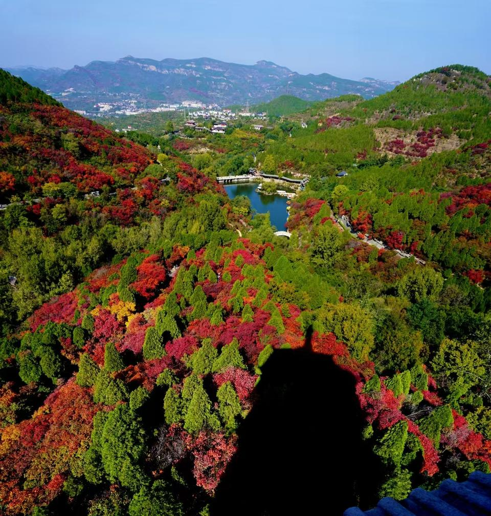 山東：顏值帶來人氣，賞秋催熱“紅葉經濟”