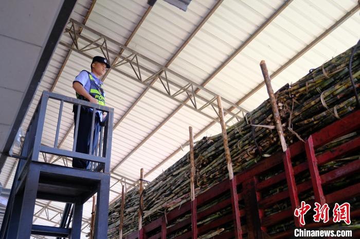 中老邊境勐滿口岸今年以來出入境旅客同比增長475%