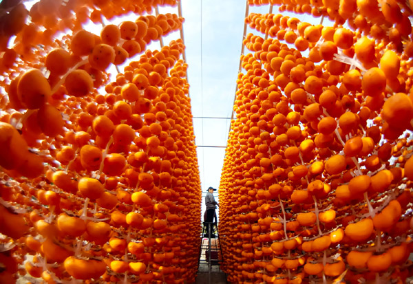 “定點幫扶+慈善信托”鄉村振興金融創新案例交流活動舉行