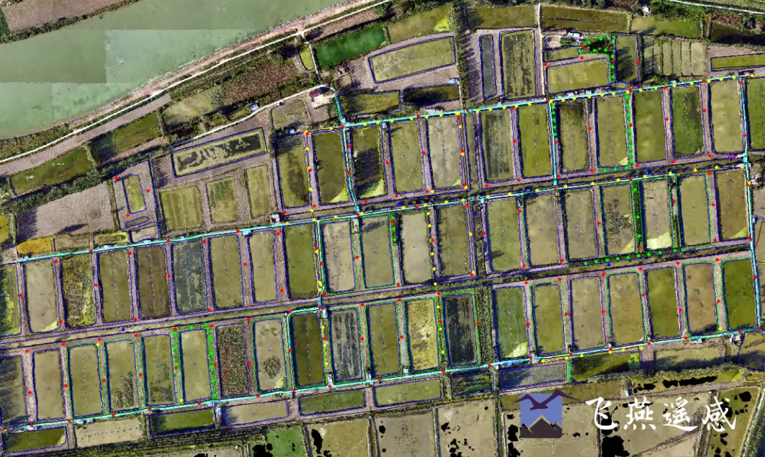 2024低空經(jīng)濟(jì):低空經(jīng)濟(jì)的無人機(jī)有多強(qiáng)?丨飛燕遙感