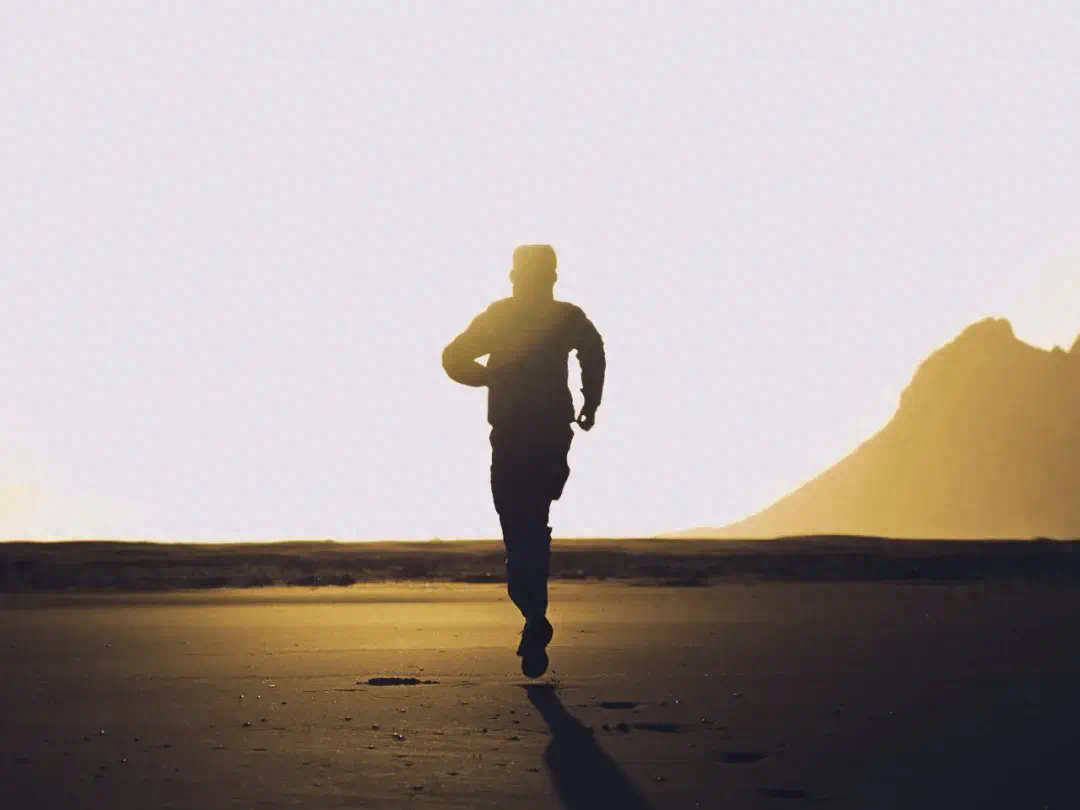 雙11新風口背后：身居樓宇，心居曠野