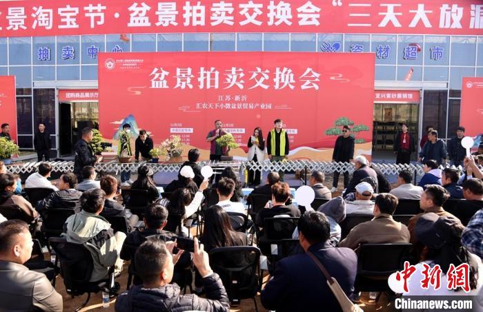 2025低空經(jīng)濟： 超百萬盆創(chuàng)意盆景匯聚江蘇新沂參加盆景貿(mào)易發(fā)展大會