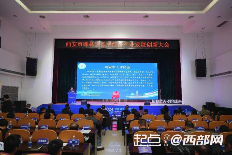 西安市碑林區低空經濟產業發展創新大會舉行